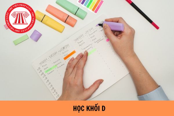 Học khối D gồm những môn gì? Khối D gồm những nghề nào?