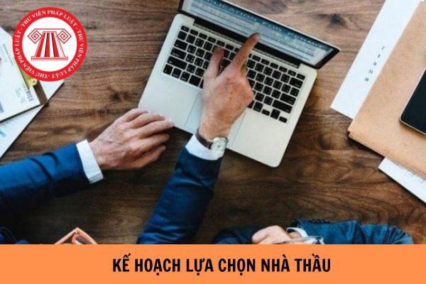 Mẫu tờ trình kế hoạch lựa chọn nhà thầu theo Thông tư 01/2024/TT-BKHĐT?