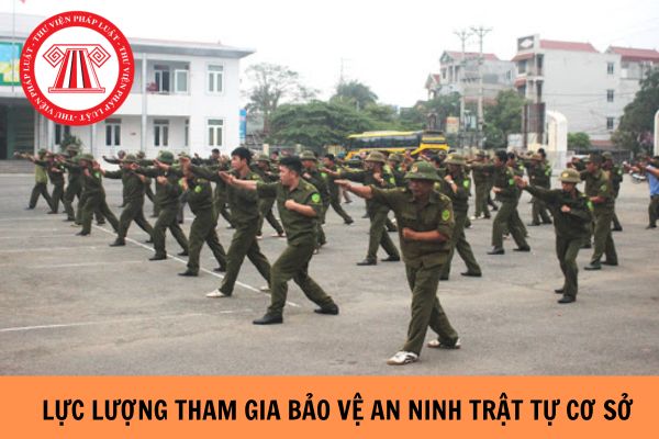 Mức hỗ trợ đối với người tham gia lực lượng tham gia bảo vệ an ninh, trật tự ở cơ sở bị ốm đau khi thực hiện nhiệm vụ từ ngày 01/7/2024?