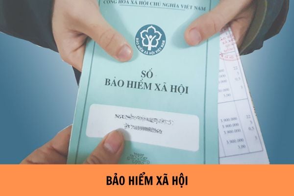 Mẫu d01-ts mới nhất 2024? Cách điền mẫu d01-ts theo quyết định 505?