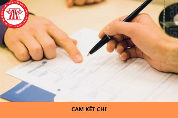 Thời hạn gửi và chấp thuận cam kết chi khi thực hiện dự án đầu tư công là bao lâu?