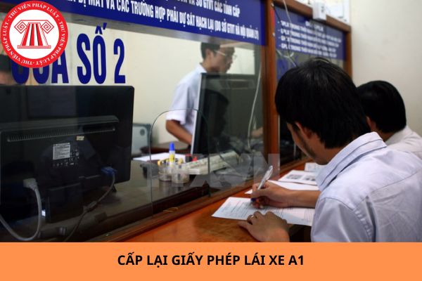 Mẫu đơn xin cấp lại giấy phép lái xe A1 mới nhất? Thi bằng lái A1 là thi những nội dung gì?