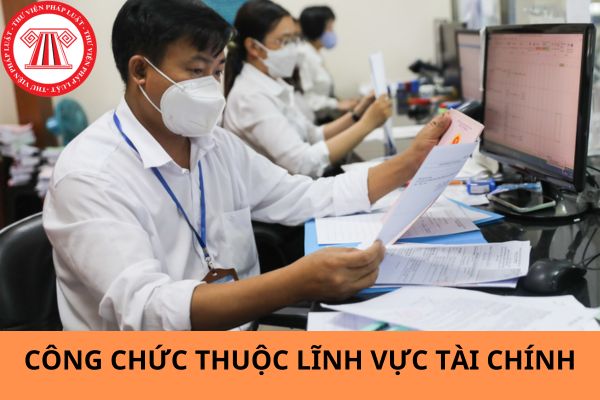 Danh mục 5 vị trí công tác thuộc lĩnh vực tài chính phải thực hiện định kỳ chuyển đổi từ ngày 17/6/2024?