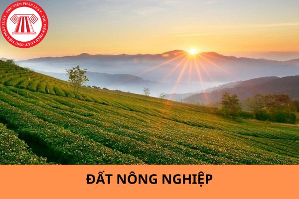 Luật Đất đai 2024: Chuyển đổi quyền sử dụng đất nông nghiệp có phải đóng thuế thu nhập từ việc chuyển đổi quyền sử dụng đất không?