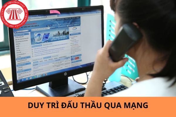 Phí duy trì đấu thầu qua mạng 2024 là bao nhiêu?