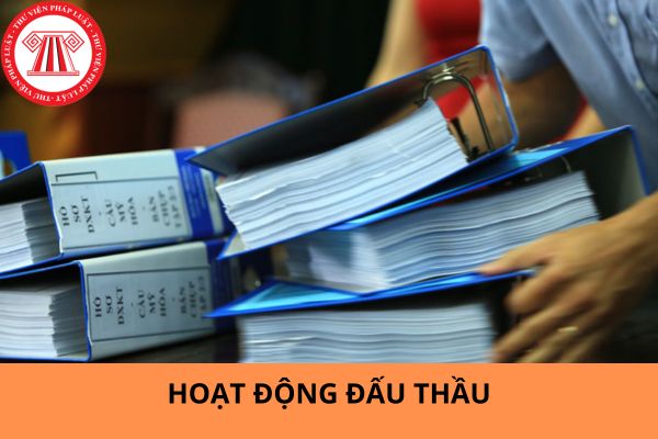 Ban hành các mẫu hồ sơ yêu cầu, báo cáo đánh giá, báo cáo thẩm định, kiểm tra, báo cáo tình hình thực hiện hoạt động đấu thầu áp dụng từ ngày 15/6/2024?