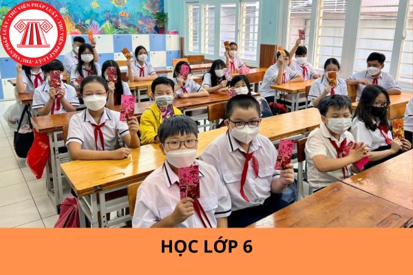 Bao nhiêu tuổi thì vào học lớp 6? Học sinh được hưởng những quyền lợi gì khi đi học?