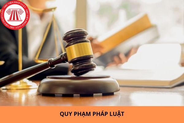 Chủ tịch Ủy ban nhân dân ký Quyết định quy phạm pháp luật thì ký trực tiếp chức danh hay ký TM? 