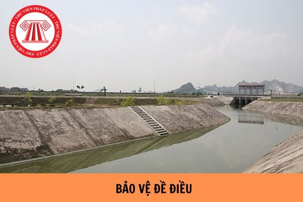 Quy định về hành lang bảo vệ đê điều hiện nay như thế nào?