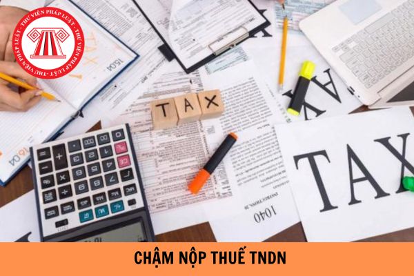 Cách tính tiền chậm nộp thuế TNDN 2024? Không tính tiền chậm nộp thuế TNDN trong trường hợp nào?