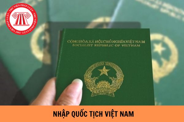 Mẫu bản khai lý lịch nhập quốc tịch Việt Nam mới nhất hiện nay? Ai được nhập quốc tịch Việt Nam mà không phải thôi quốc tịch nước ngoài?