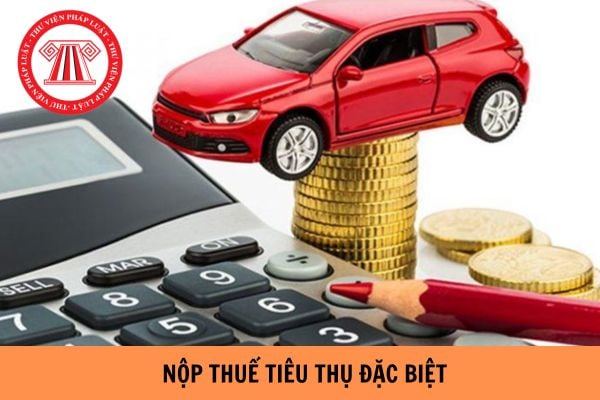 Mẫu giấy đề nghị gia hạn nộp thuế tiêu thụ đặc biệt đối với ô tô sản xuất hoặc lắp ráp trong nước 2024?