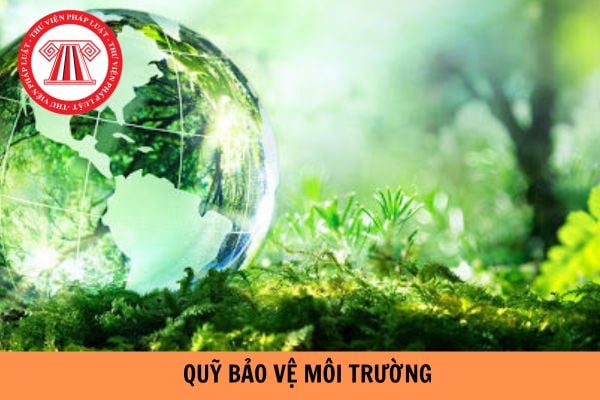 Thông báo tuyển dụng viên chức 2024 của Quỹ Bảo vệ môi trường TPHCM?