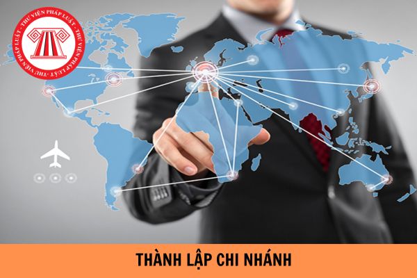 Mẫu đăng ký thành lập chi nhánh công ty mới nhất 2024? Hồ sơ đăng ký thành lập chi nhánh gồm có những gì?