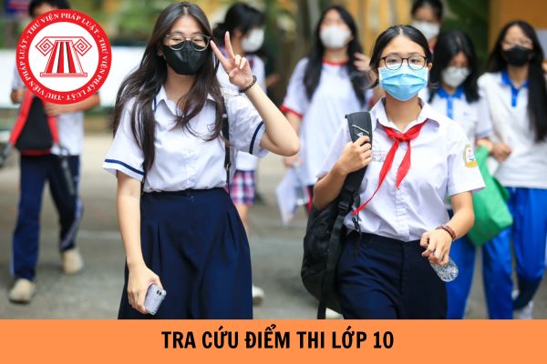 Hướng dẫn tra cứu điểm thi tuyển sinh lớp 10 Nam Định?