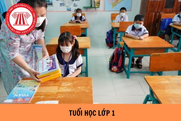 Mấy tuổi học lớp 1 năm học 2024-2025? Học sinh lớp 1 đạt thành tích gì thì được khen thưởng?