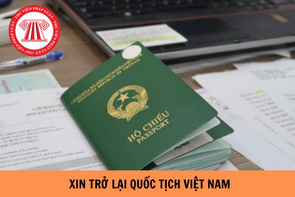 Mẫu đơn xin trở lại quốc tịch Việt Nam mới nhất hiện nay?