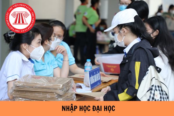 Hồ sơ nhập học đại học 2024 gồm những gì? Xác nhận nhập học đại học không đúng hạn có sao không?