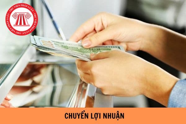 Nhà đầu tư phải chuyển toàn bộ lợi nhuận thu được và các khoản thu nhập khác từ đầu tư ở nước ngoài về Việt Nam trong thời gian bao lâu?