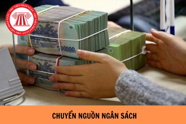 Tải Mẫu 20f Nghị định 11 chuyển nguồn ngân sách mới nhất? 