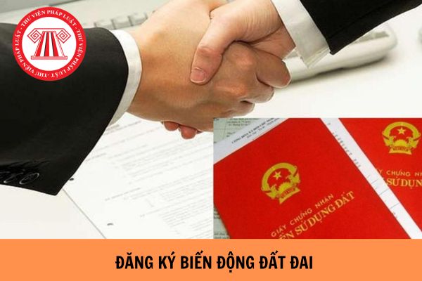 Mẫu đơn đăng ký biến động đất đai năm 2024 và hướng dẫn cách ghi?