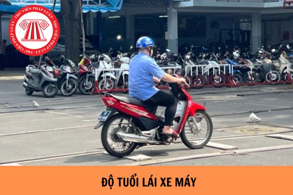 Quy định độ tuổi lái xe máy từ ngày 01/01/2025?