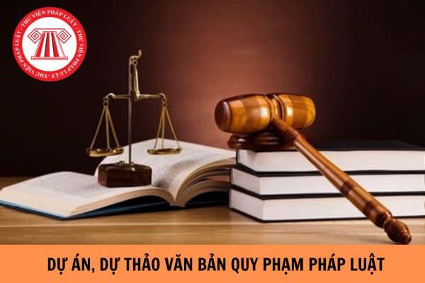 Mẫu tờ trình dự án, dự thảo văn bản quy phạm pháp luật theo Nghị định 59/2024/NĐ-CP?