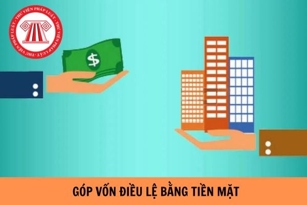 Quy định về góp vốn điều lệ bằng tiền mặt? Góp vốn điều lệ bằng tiền mặt được không?