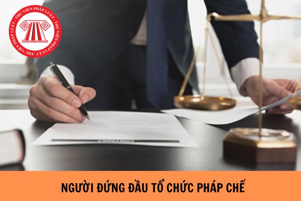 Tiêu chuẩn của người đứng đầu tổ chức pháp chế theo Nghị định 56?