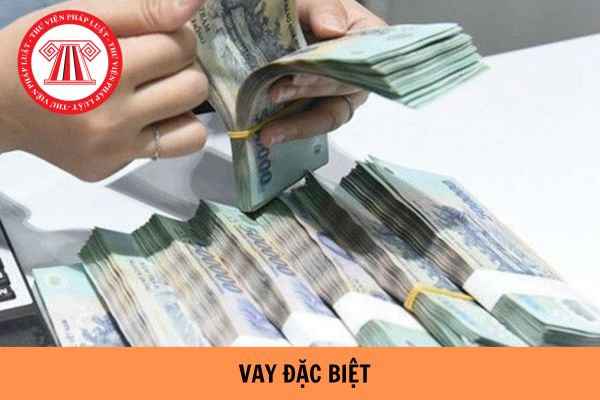 Thẩm quyền quyết định cho vay đặc biệt đối với tổ chức tín dụng được quy định như thế nào? 