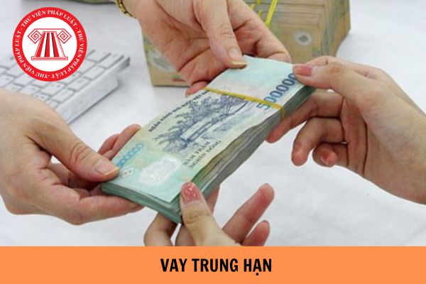 Vay trung hạn là bao lâu? Hoạt động cho vay của ngân hàng gồm có những hoạt động nào?