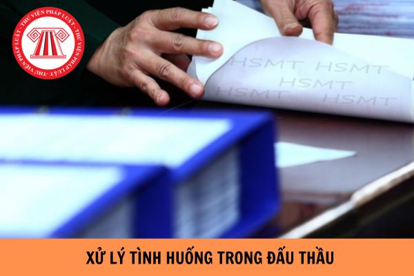 Xử lý tình huống trong đấu thầu theo Nghị định 24 như thế nào?