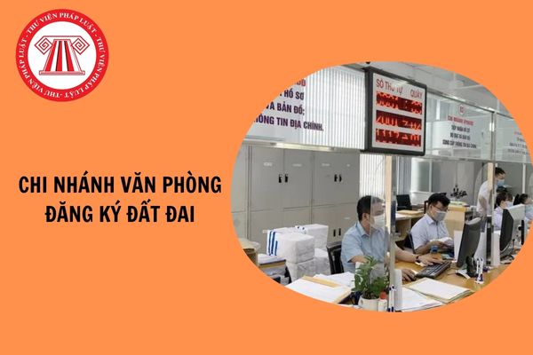 Chi nhánh văn phòng đăng ký đất đai có được cấp sổ đỏ không? Chi nhánh Văn phòng đăng ký đất đai có tư cách pháp nhân không?