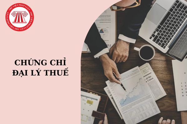 Điều kiện thi chứng chỉ đại lý thuế là gì? Điều kiện miễn thi môn kế toán đại lý thuế 2024 là gì?