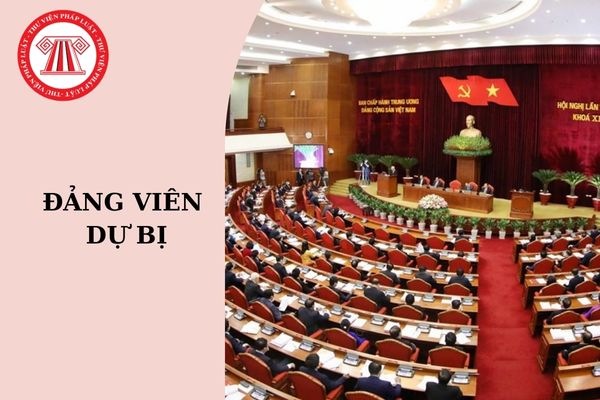 Đảng viên dự bị không có quyền nào? Đảng viên dự bị có làm kiểm điểm cuối năm không?