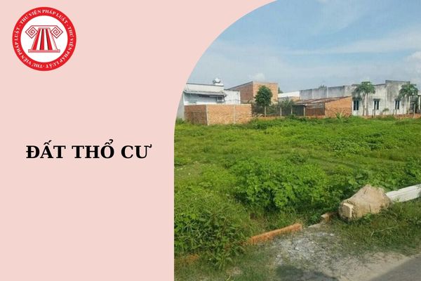 Lên thổ cư phải xin phép cơ quan nào? Mẫu đơn xin chuyển lên đất thổ cư 2024?