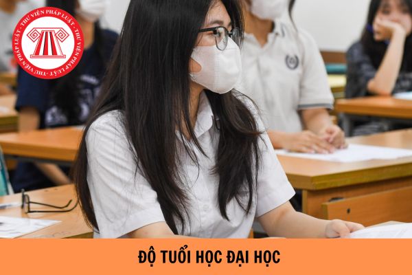 Sinh viên năm 1, 2, 3, 4 năm 2024 bao nhiêu tuổi, sinh năm bao nhiêu?