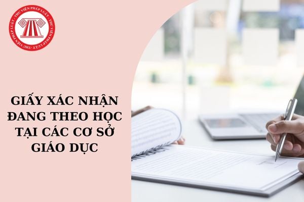 Mẫu số 41 giấy xác nhận đang theo học tại cơ sở giáo dục?