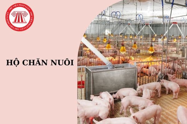 Mẫu đơn xin xác nhận hộ chăn nuôi mới nhất?