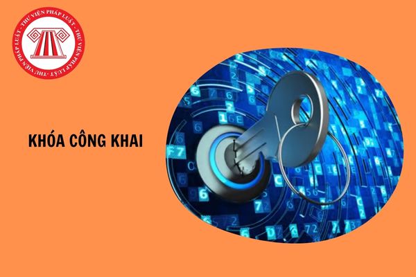 Khóa công khai là gì? Khóa công khai được gắn liền với chứng thư chữ ký số nào theo quy định?