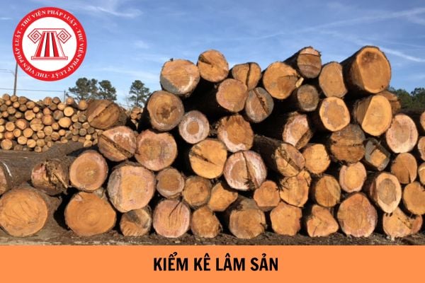 Mẫu số 01 bảng kiểm kê lâm sản theo Thông tư 26?