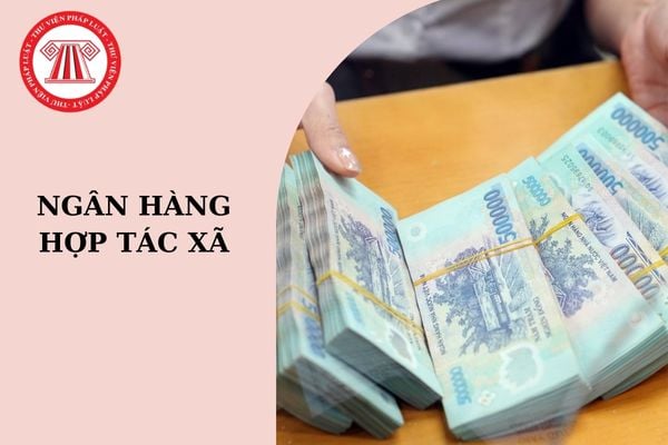 Mẫu đề nghị thay đổi mức vốn điều lệ của ngân hàng hợp tác xã 2024?