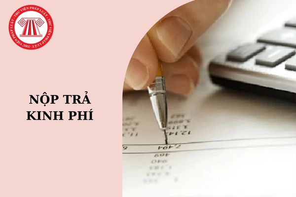 Mẫu giấy nộp trả kinh phí theo Nghị định 11?