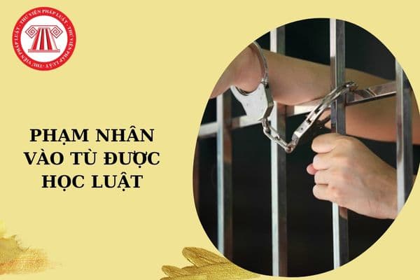 Phạm nhân vào tù sẽ được học rất nhiều về luật phải không?