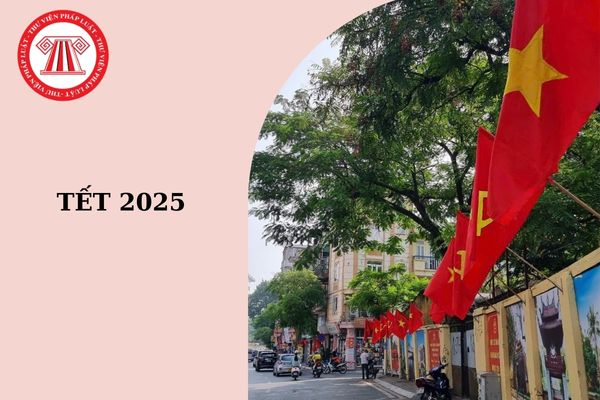 Tết 2025 vào thứ mấy? Tết Âm lịch 2025 có bắn pháo hoa không?