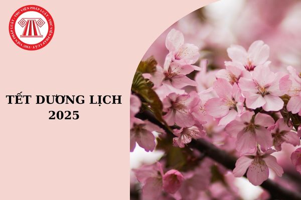 Tết dương lịch 2025 là ngày mấy âm lịch? Tết dương lịch 2025 có bắn pháo hoa không?