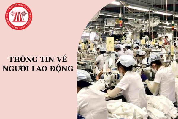 Mẫu 03 phiếu thông tin về người lao động? Cách ghi phiếu thông tin về người lao động mẫu số 3?