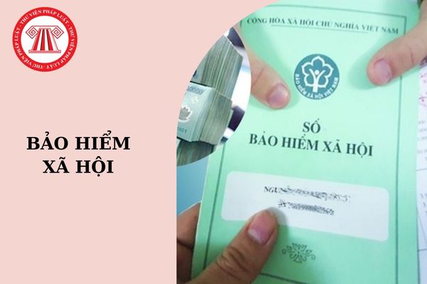 Cách tra cứu thời gian đóng bảo hiểm xã hội 2024 nhanh chóng nhất?