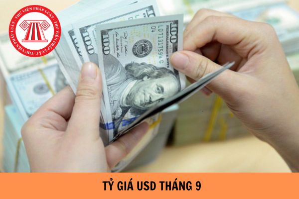 Tỷ giá USD tháng 9/2024 là bao nhiêu? Ai có thẩm quyền ủy quyền thông báo tỷ giá hạch toán ngoại tệ hàng tháng?