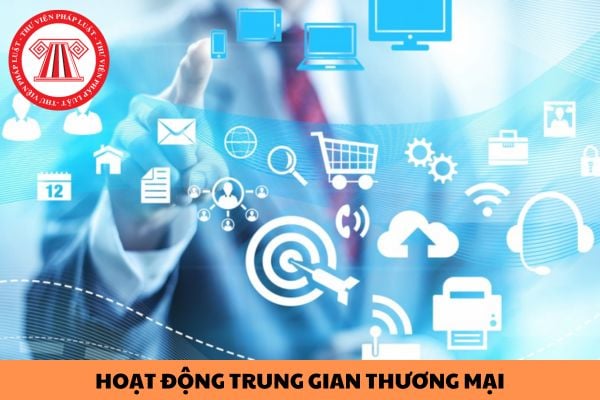 Có các hoạt động trung gian thương mại nào theo quy định của pháp luật?